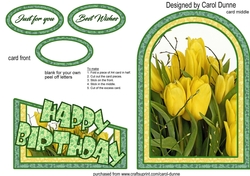 Cutaway Yellow Tulips