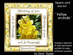 SC Yellow orchids - Thinking of you.