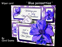 Wiper Blue poinsettias