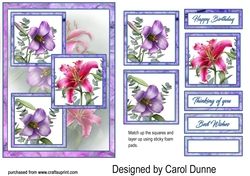TS Pink & lilac lilies
