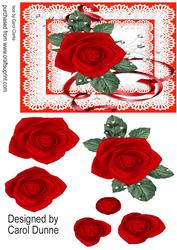 Red Rose on Lace