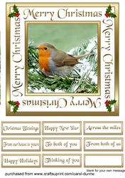 SC Robin in a snowy tree 7inch
