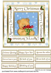 SC Bear with a gift