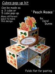 Cube pop-ups Peach Roses