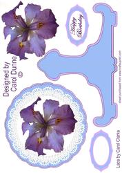 Iris on Lace Plate