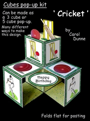 Pop-up cube Cricket