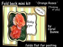 FB orange roses