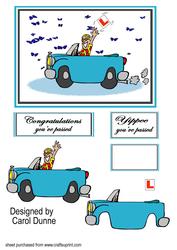 Driving Test (male)