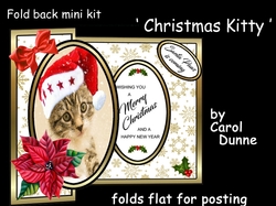FB Christmas Kitty