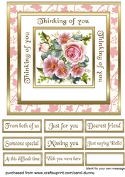 Lovely pink roses (Thinking of you)