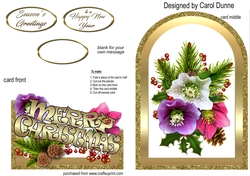 Cutaway Christmas Roses