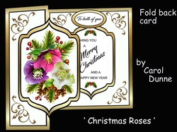 FB Christmas Roses