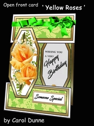 Open front Yellow Roses