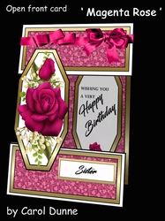 Open front Magenta Roses