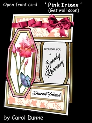 Open front Pink Irises GWS