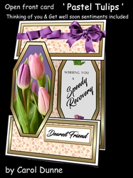 Open front Pastel Tulips GWS