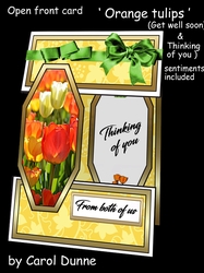 Open front OrangeTulips GWS