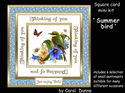 SC Summer bird