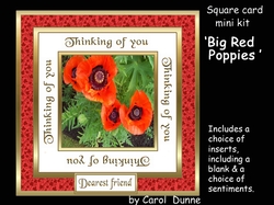 SC Big red poppies