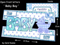 OFL Baby Boy