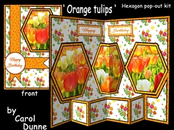 Hex Orange Tulips