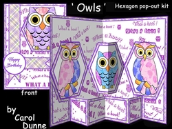 Hexagon pop-out Owls