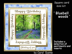 SC Bluebell woods