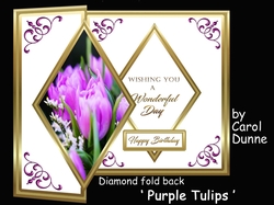 DFB Purple tulips