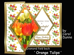 DFB Orange tulips