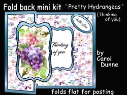 FB Pretty Hydrangeas (Thinking of you)