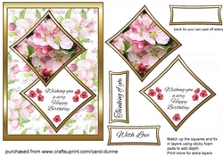 Two squares Apple Blossom