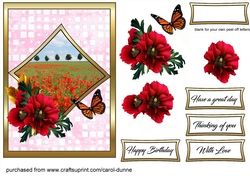 Poppy field Card front