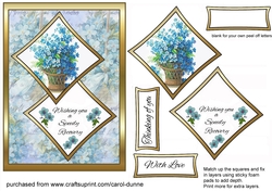Two squares Forget-me-nots GWS