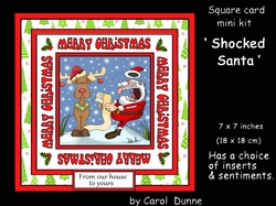 SC Shocked Santa