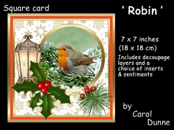 SC Robin