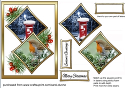 Two squares Postbox & robin