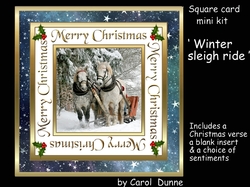 SC Winter sleigh ride