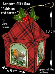 Lantern Red tartan & robins