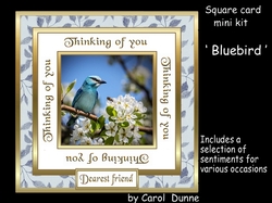 SC Bluebird (Thinking of you)