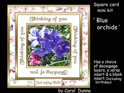 SC Blue orchids (Thinking of you)
