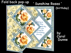 FBPS Sunshine roses