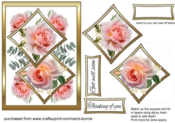 Two squares Pink roses GWS
