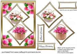 Two squares Baskets of flowers