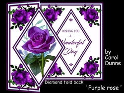 DFB Purple rose