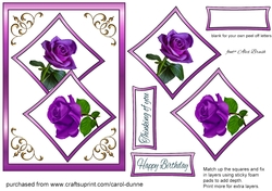 Two squares Purple rose