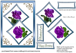 Two squares Purple rose, blue frame
