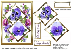 Two squares Pansies