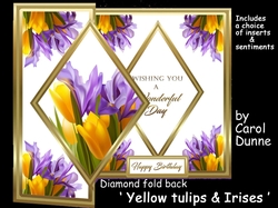 DFB Yellow tulips & irises