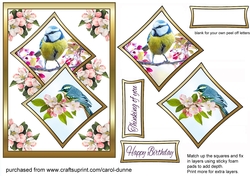 Two squares Blue birds
