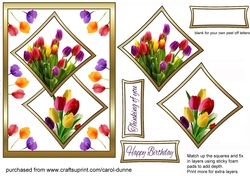 Two squares Bright tulips